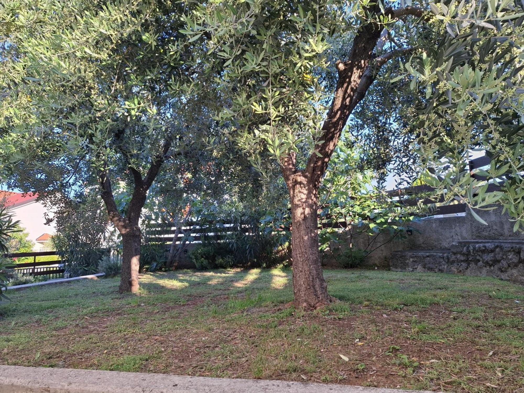 Apartman Luma Krk Town Esterno foto